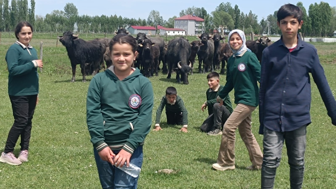 ENERJİ DOSTU MAVİ YEŞİL OKUL