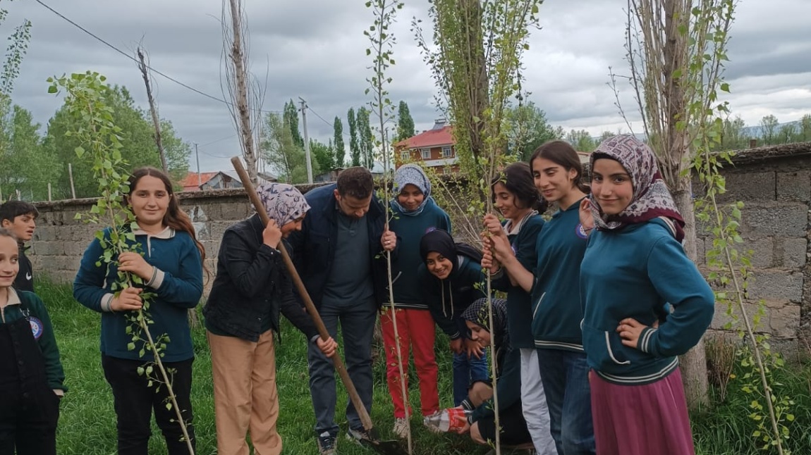 Hatıra Ormanı